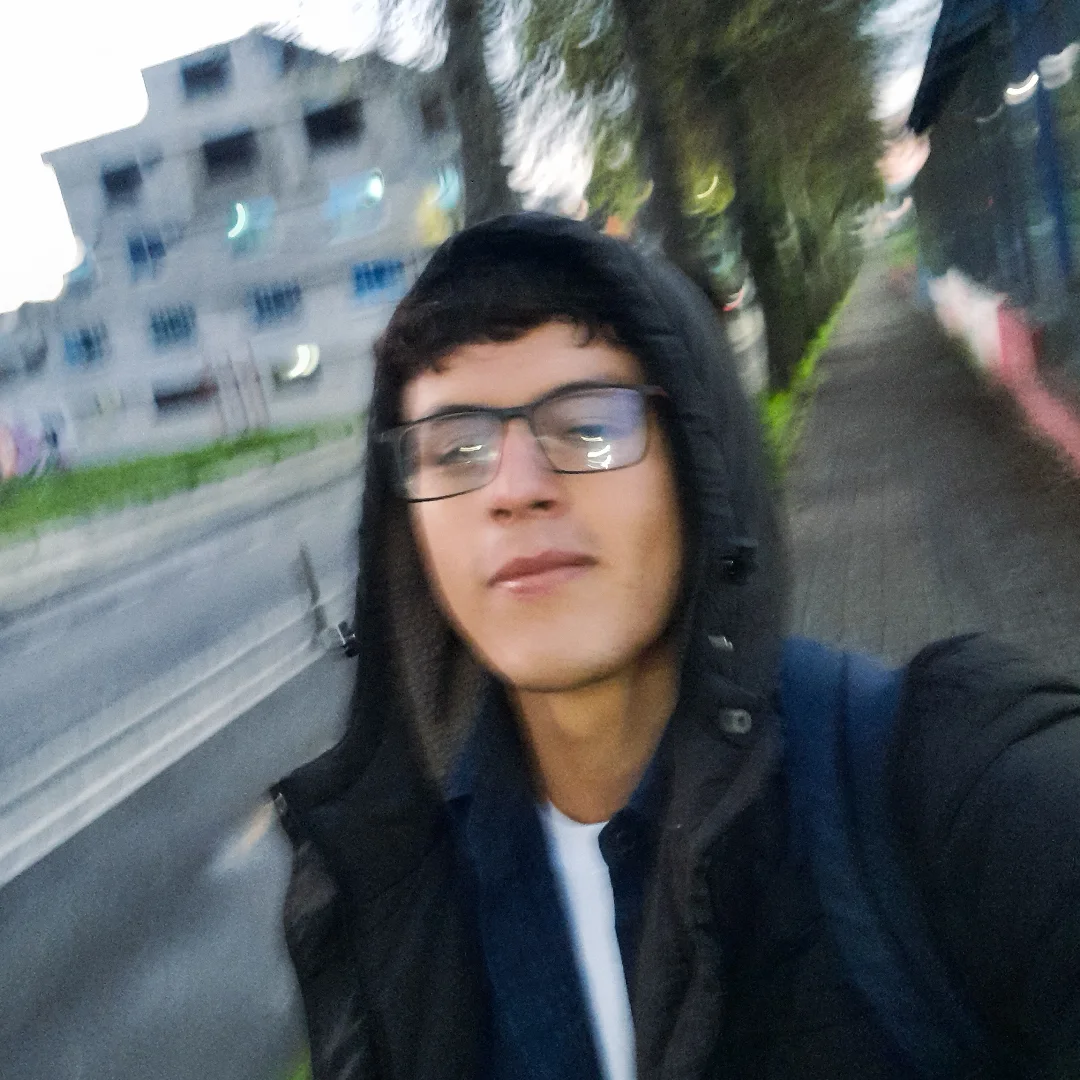 Diseño Web Profesional